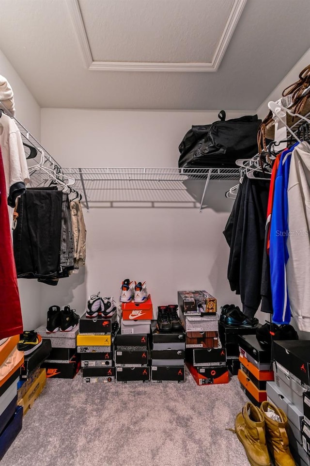 walk in closet with carpet