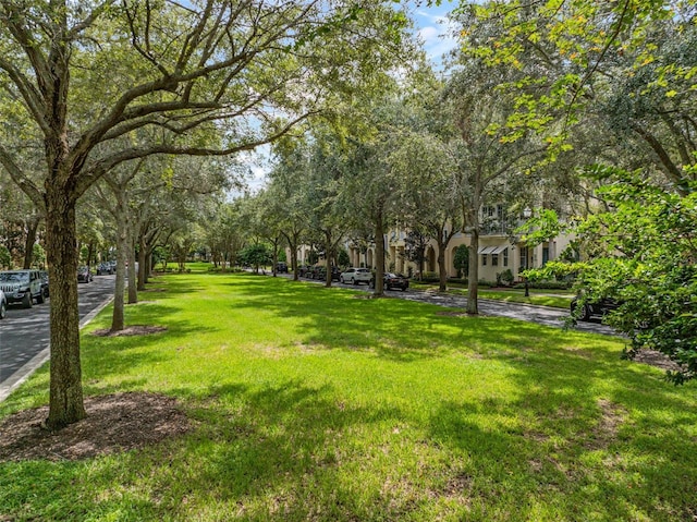 view of community with a lawn