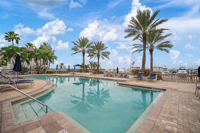 view of swimming pool featuring a patio area