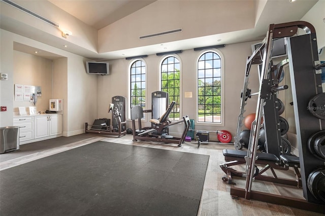 exercise area featuring a high ceiling