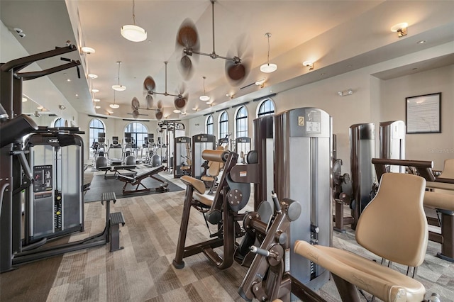 workout area with carpet floors, ceiling fan, and plenty of natural light