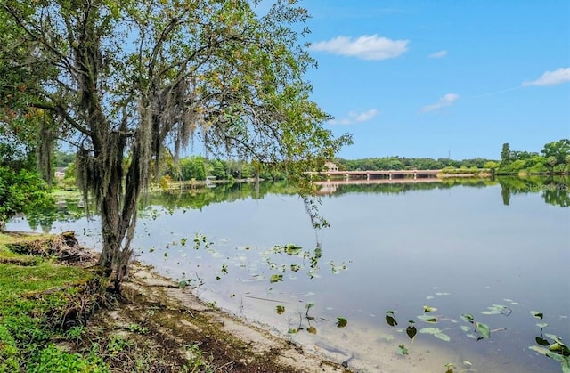 property view of water