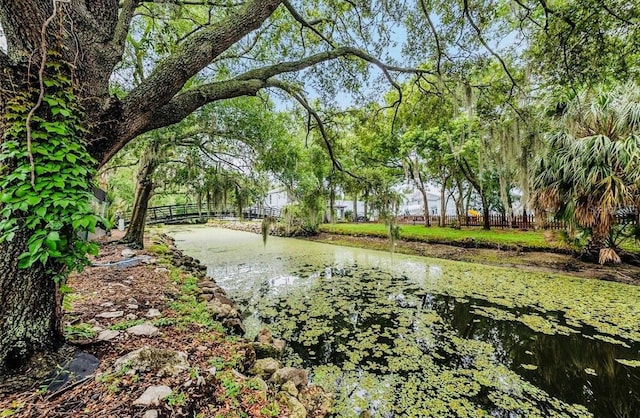 view of home's community with a water view