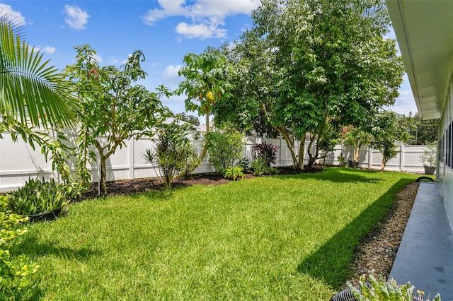 view of yard with a fenced backyard