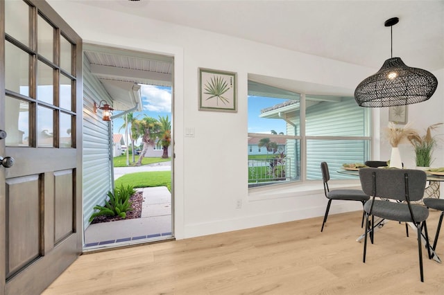 dining room featuring light hardwood / wood-style floors and a wealth of natural light