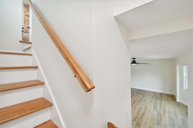 stairs featuring wood-type flooring and ceiling fan