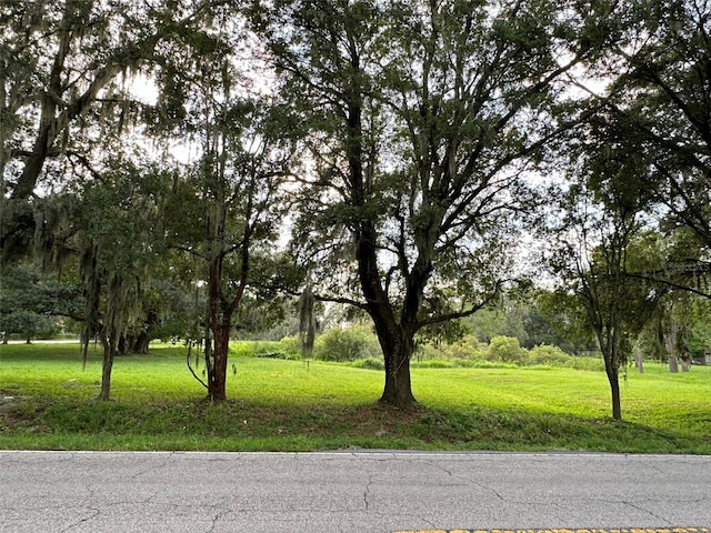 29956 New Dutch Ln, Wesley Chapel, FL 33545