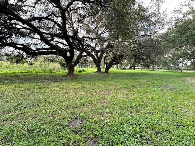 29956 New Dutch Ln, Wesley Chapel, FL 33545
