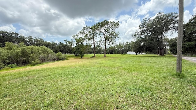29956 New Dutch Ln, Wesley Chapel, FL 33545