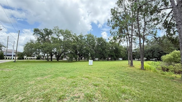 29956 New Dutch Ln, Wesley Chapel, FL 33545