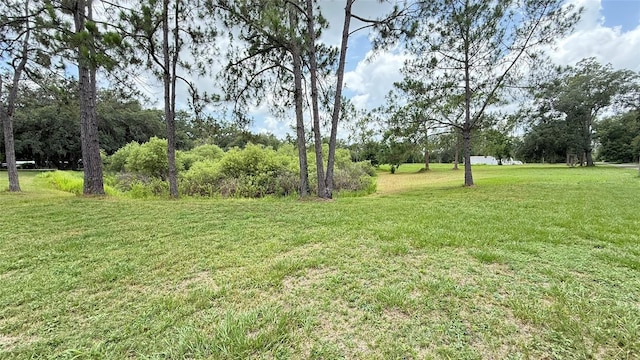 29956 New Dutch Ln, Wesley Chapel, FL 33545