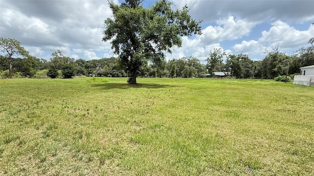 29956 New Dutch Ln, Wesley Chapel, FL 33545