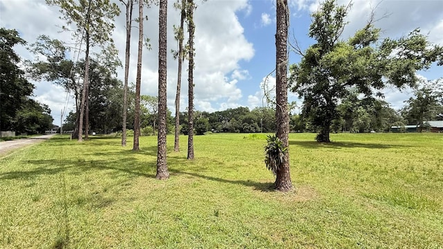 29956 New Dutch Ln, Wesley Chapel, FL 33545