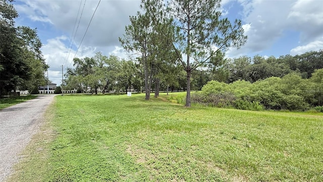 29956 New Dutch Ln, Wesley Chapel, FL 33545