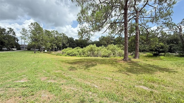 29956 New Dutch Ln, Wesley Chapel, FL 33545