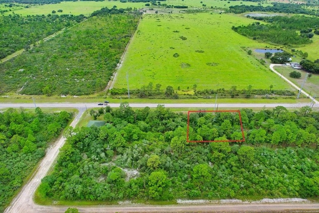 439 Henscratch Rd, Lake Placid, FL 33852