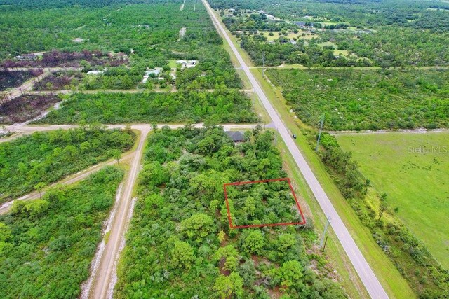 439 Henscratch Rd, Lake Placid, FL 33852