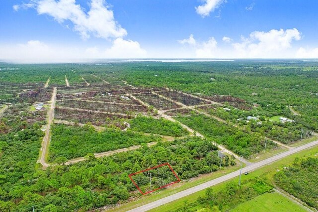439 Henscratch Rd, Lake Placid, FL 33852