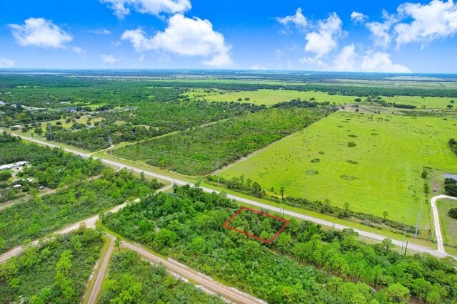 439 Henscratch Rd, Lake Placid, FL 33852