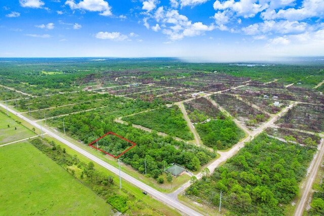439 Henscratch Rd, Lake Placid, FL 33852
