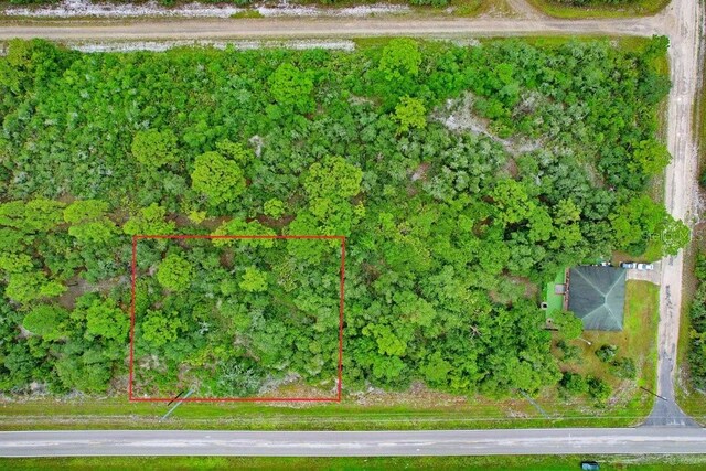 439 Henscratch Rd, Lake Placid, FL 33852