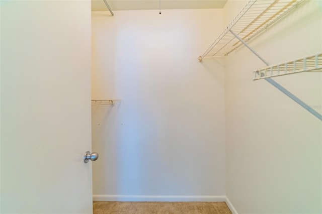 spacious closet with light carpet