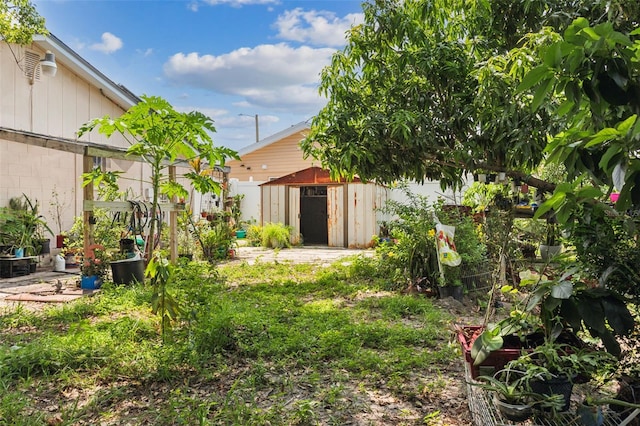 view of yard featuring a storage unit