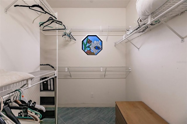 210 Lakeview Dr, Anna Maria, FL 34216 - view of walk in closet