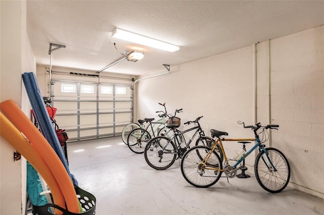 210 Lakeview Dr, Anna Maria, FL 34216 - garage featuring a garage door opener