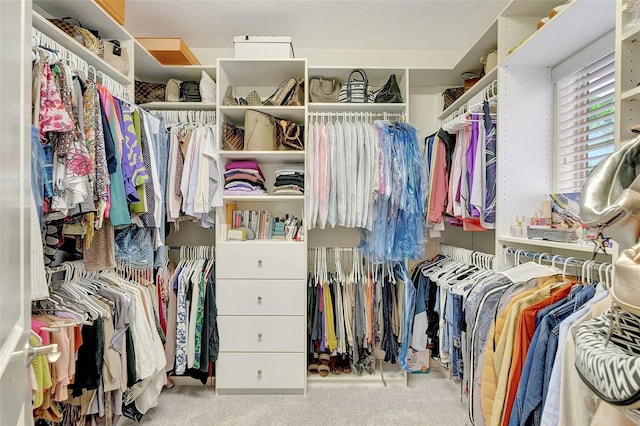 spacious closet featuring light colored carpet