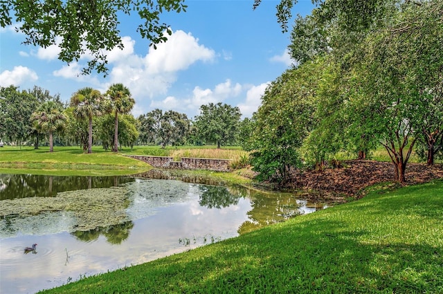 property view of water