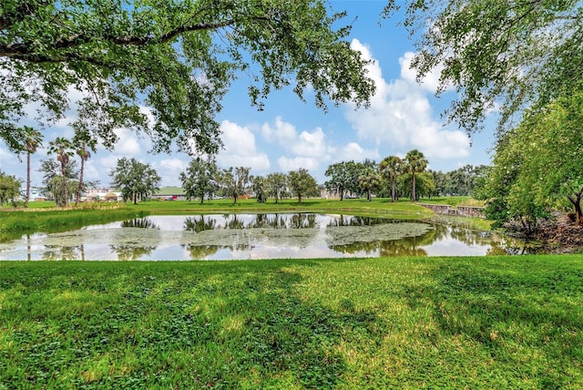 view of community featuring a water view and a yard