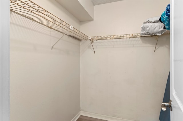 walk in closet featuring hardwood / wood-style floors