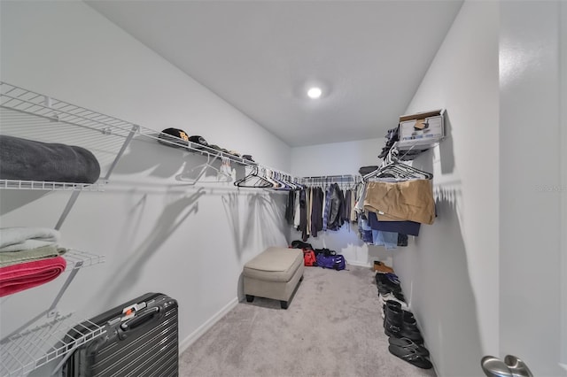 spacious closet with carpet flooring