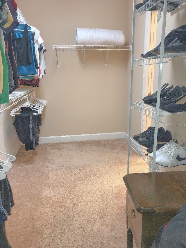 spacious closet with carpet floors