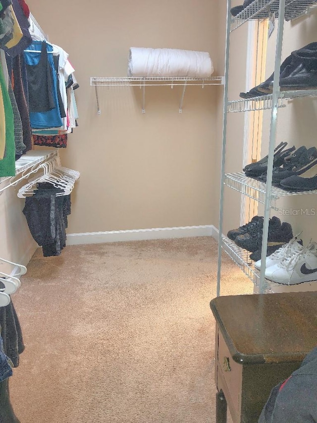 809 Chipper Dr, Sun City Center, FL 33573 - spacious closet with carpet floors