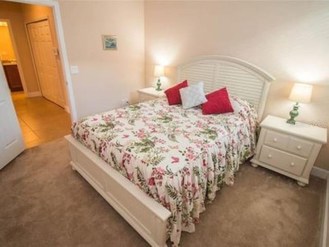 809 Chipper Dr, Sun City Center, FL 33573 - bedroom with dark colored carpet