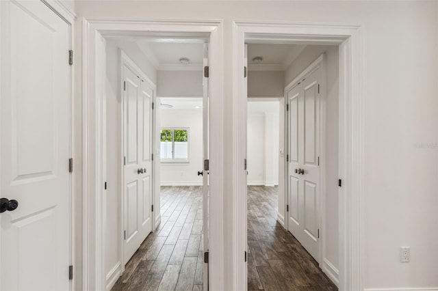 hallway with crown molding and dark hardwood / wood-style flooring