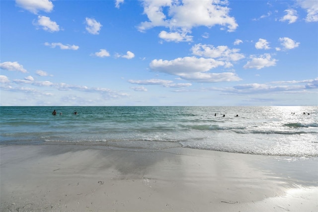 property view of water with a beach view