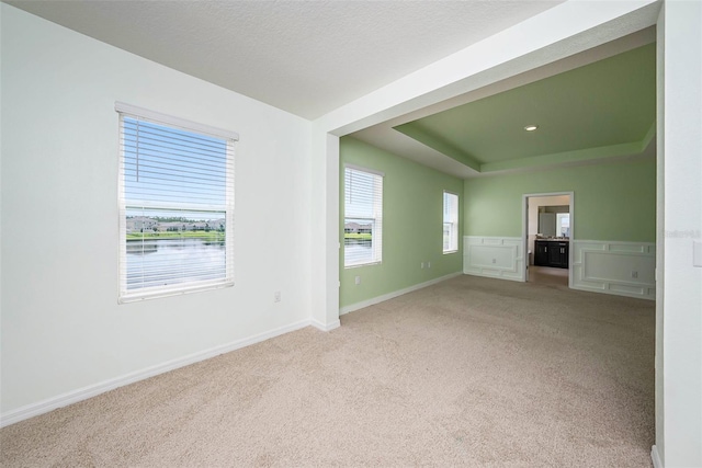 spare room featuring a raised ceiling, light colored carpet, a decorative wall, wainscoting, and a textured ceiling