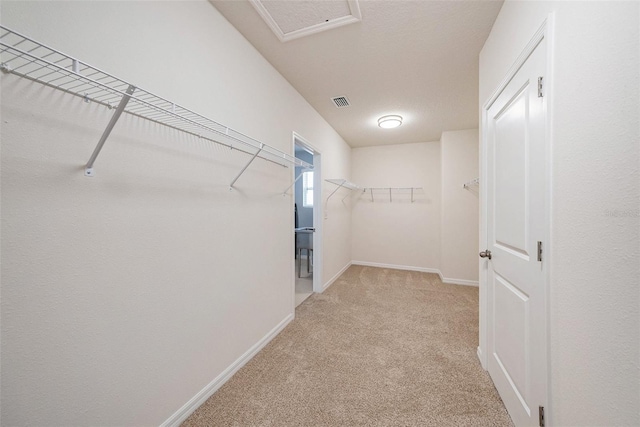 walk in closet featuring visible vents and light colored carpet