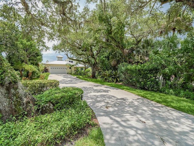 obstructed view of property with driveway and an attached garage