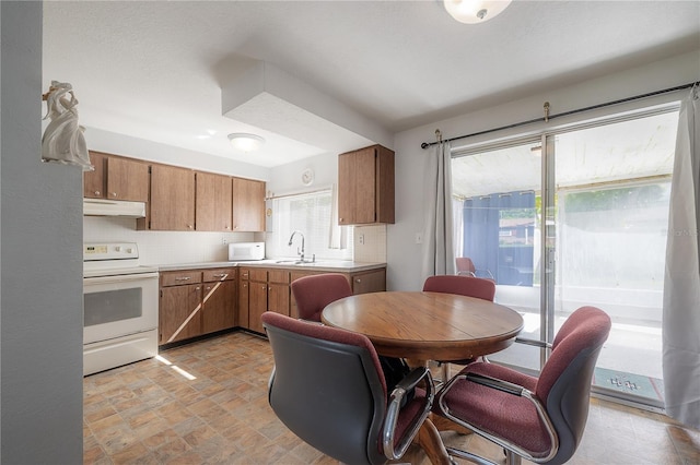 kitchen with tasteful backsplash, sink, and white appliances