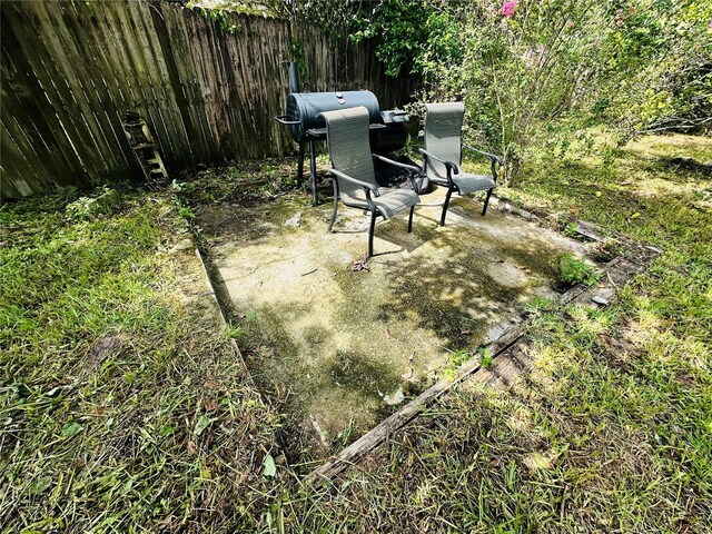 view of yard featuring a patio area