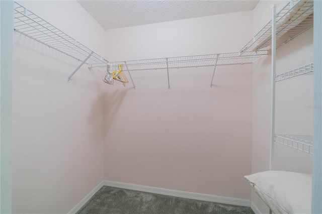 spacious closet with carpet floors