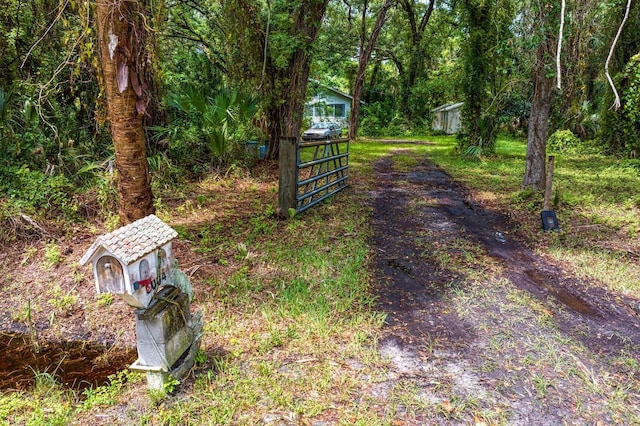 8004 Bay Dr, Tampa, FL 33635 - photo 38