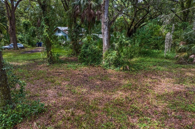 8004 Bay Dr, Tampa, FL 33635 - photo 41