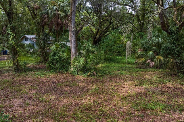 8004 Bay Dr, Tampa FL, 33635 land for sale