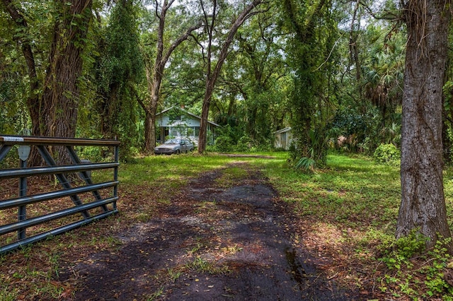 8004 Bay Dr, Tampa, FL 33635 - photo 3