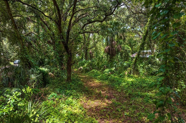 8004 Bay Dr, Tampa, FL 33635 - photo 5